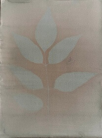 Borage (Borago officinalis) anthotype by Amez Khidr