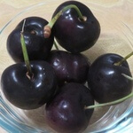 Cherry, sweet (Prunus avium 'Bing') anthotype by Laura Kivela Schroeder 