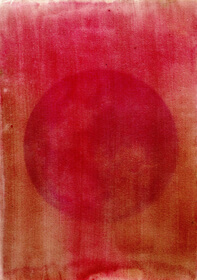 Cherry, black (Prunus serotina) anthotype by Łukasz Biazik 