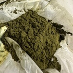 Chlorella (Chlorella vulgaris) anthotype by Bárbara Almeida 