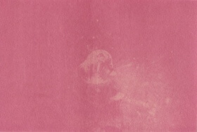 Dahlia (Dahlia pinnata) anthotype by Carla Duarte