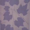 Grape, Riverbank (Vitis riparia) anthotype by Ingrid Forster