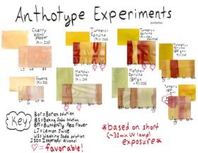 A graphic of the swatches before exposure, behind their respective swatches after exposure/toning. The turmeric + cayenne + BPF gin was omitted from the graphic.