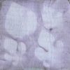 Mallow (Malva parviflora L.) anthotype by Shadi Ghorbanian