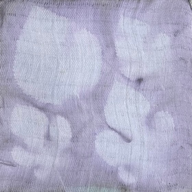Mallow (Malva parviflora L.) anthotype by Shadi Ghorbanian