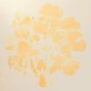 Marigold, African (Tagetes erecta) anthotype by Ronald D. Butler