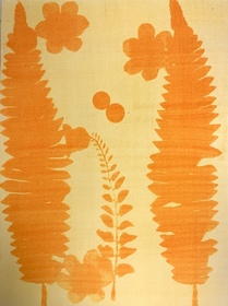 Mix of Pepper, Kashmiri and red (Capsicum annuum) and Turmeric (Curcuma longa) anthotype by Isis Gayadin