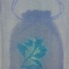 Red Cabbage (Brassica oleracea) anthotype Regina Cury