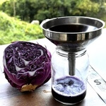 Red Cabbage (Brassica oleracea) anthotype Regina Cury