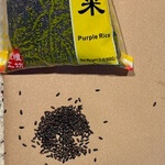 Rice, purple (Oryza sativa) anthotype by Amy Luke 