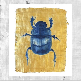 Mohammed Shamma cyanotype