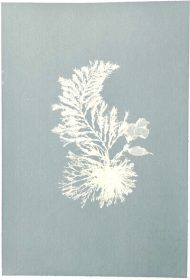 The final vertotype print with subtle tones.