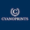 Cyanoprints. Chemicals and kits for cyanoptypes