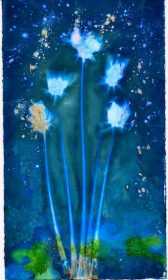 Malin Fabbri wet cyanotype flowers