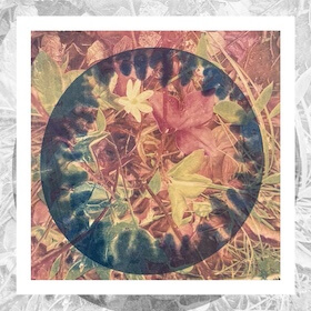 Cyanotype by Susan June Robertson-Baranick