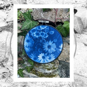 Cyanotype by Wisteria
