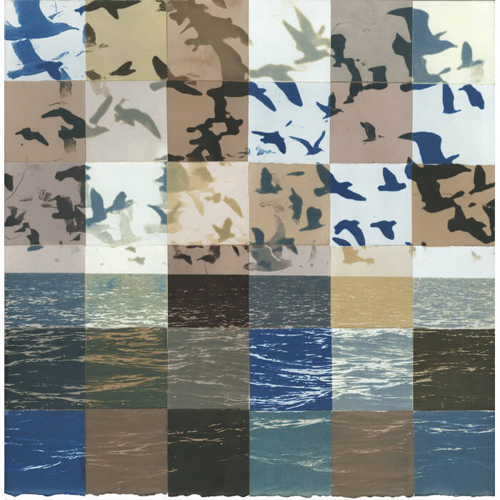 Janet Fine, Assemble. Toned cyanotypes