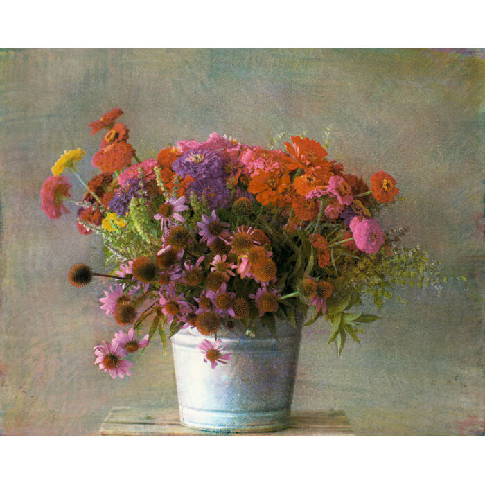 Wesley Lindberg, Flower Bucket, Gum bichromate over Platinum/Palladium