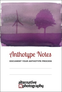 Anthotype Notes