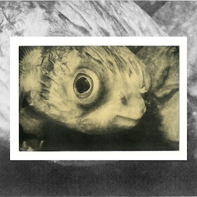 Peter Kinchington Chine Colle or Photogravure print