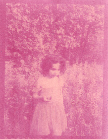 Haskap (Lonicera caerulea) anthotype by Janie Julien-Fort