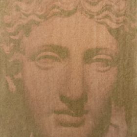 Mint (Mentha) anthotype by İlhan Sadıkoğlu